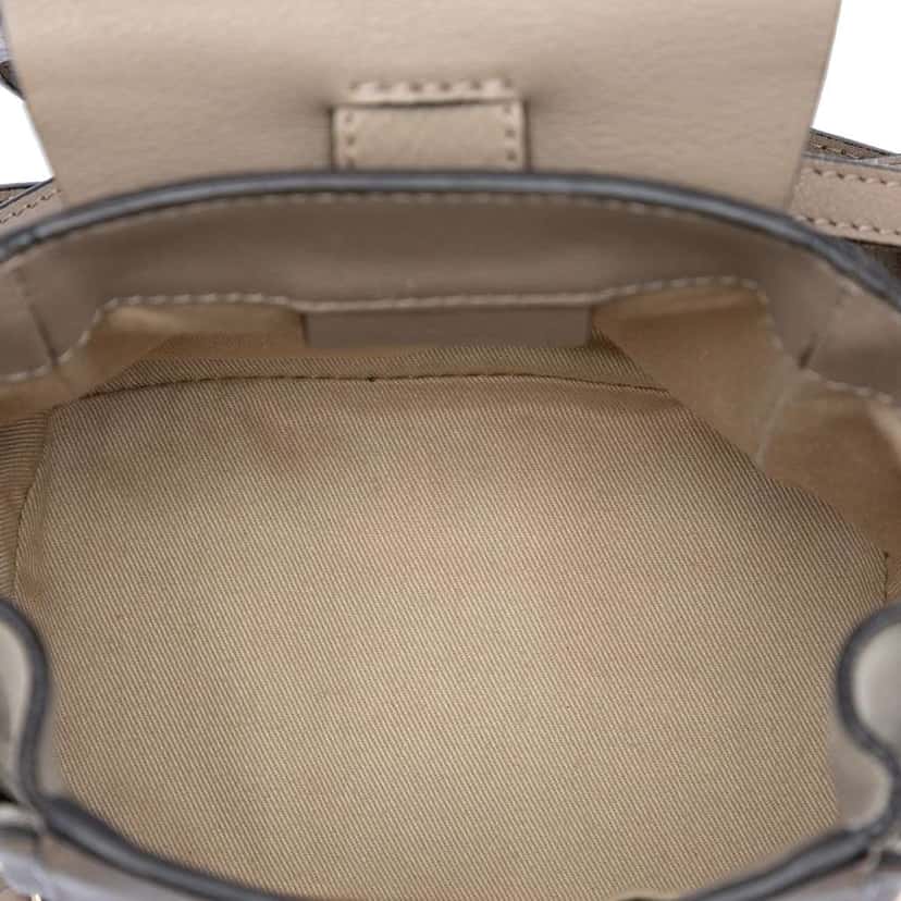 Chloé Mini Calfskin and Suede Faye Backpack Brown Leather Good condition - Model View