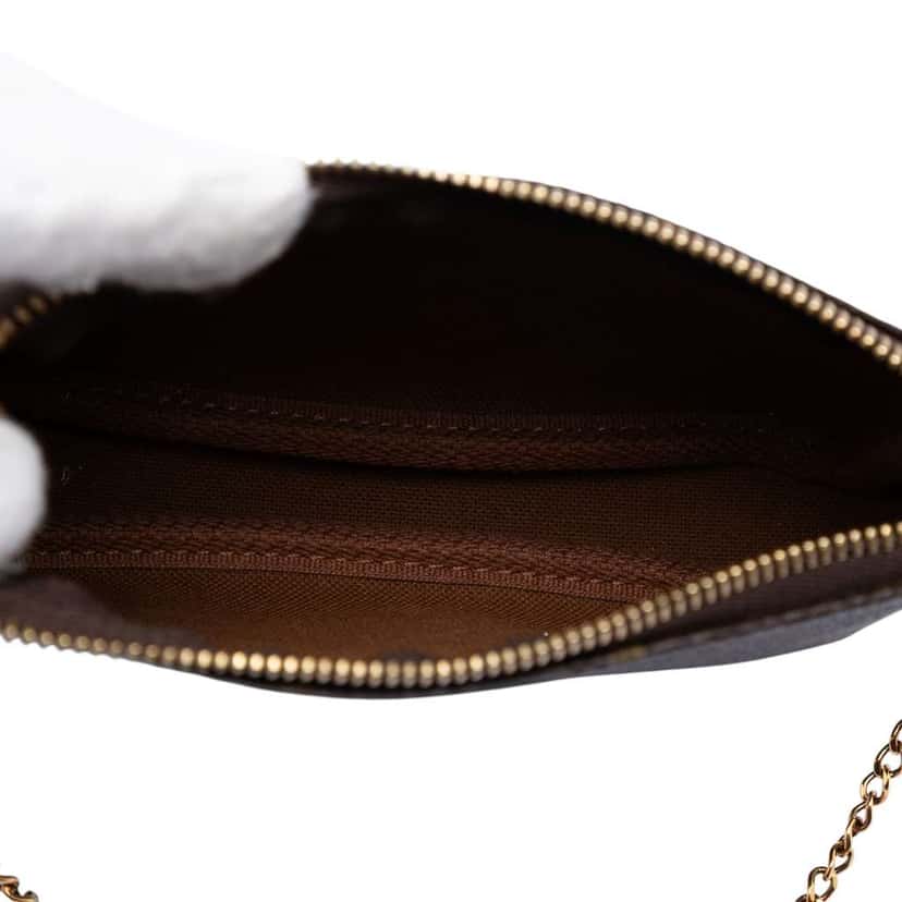 Louis Vuitton Monogram Mini Pochette Accessoires Brown Very good condition - Model View
