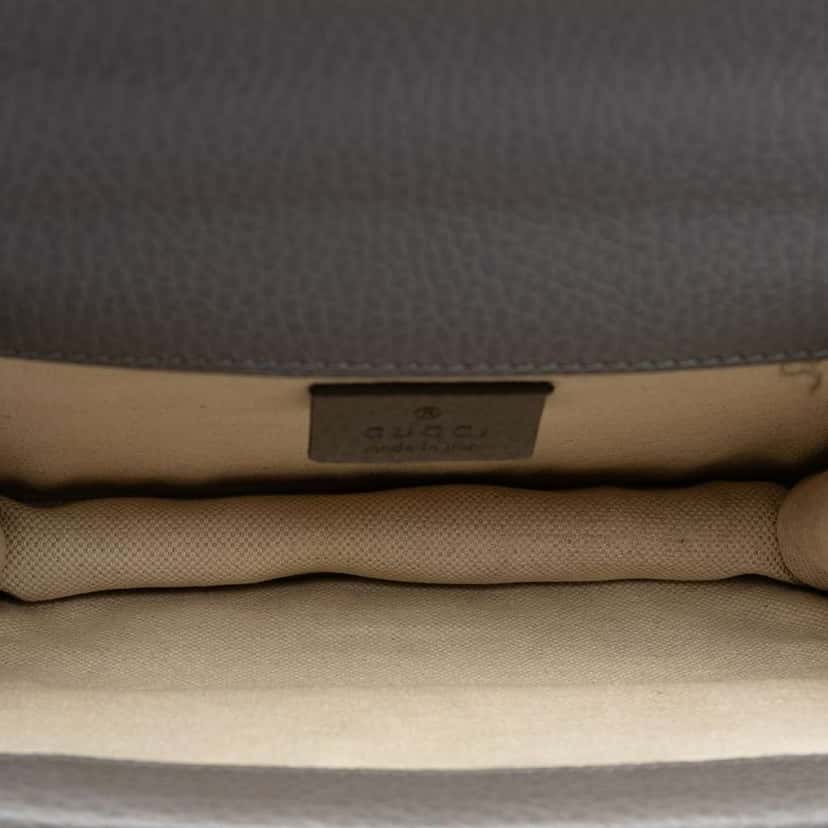 Gucci Small Leather Dionysus Crossbody Grey Leather Good condition - Model View