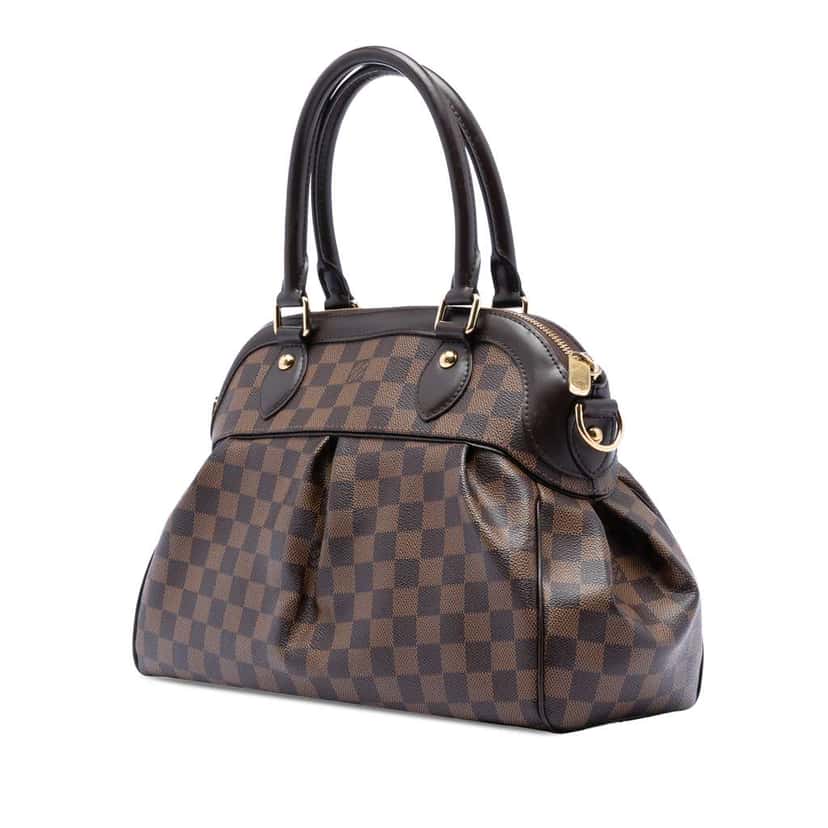 Louis Vuitton Damier Ebene Trevi PM Brown Very good condition - Back View