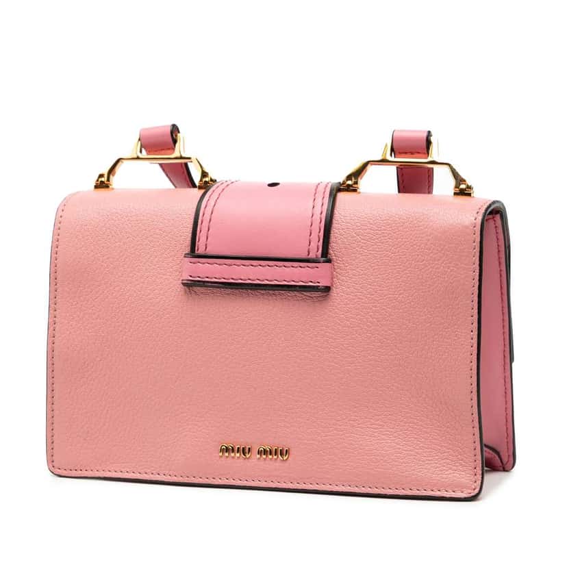 Miu Miu Goatskin Madras Soft Calf Crystal Embellished Crossbody Pink Leather Good condition - Back View