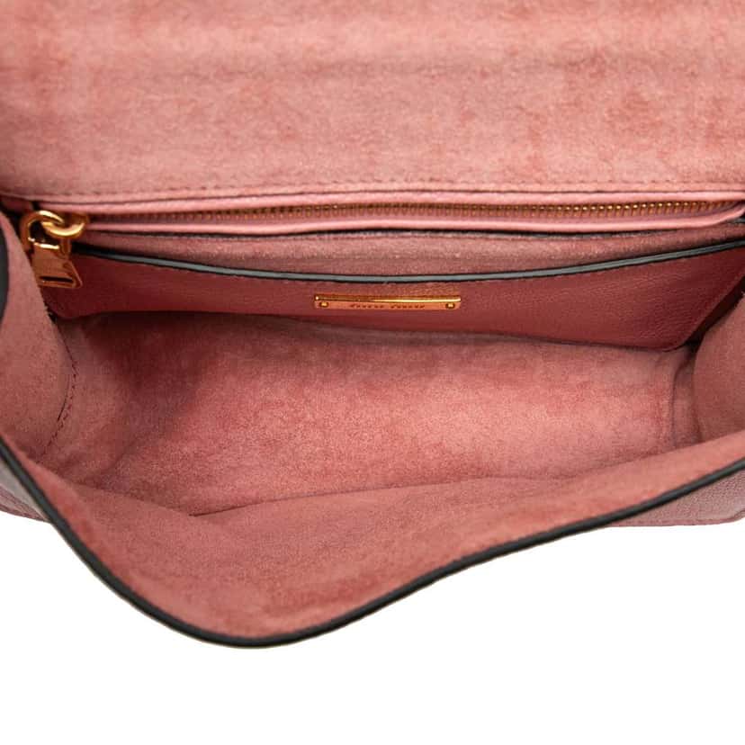 Miu Miu Goatskin Madras Soft Calf Crystal Embellished Crossbody Pink Leather Good condition - Model View