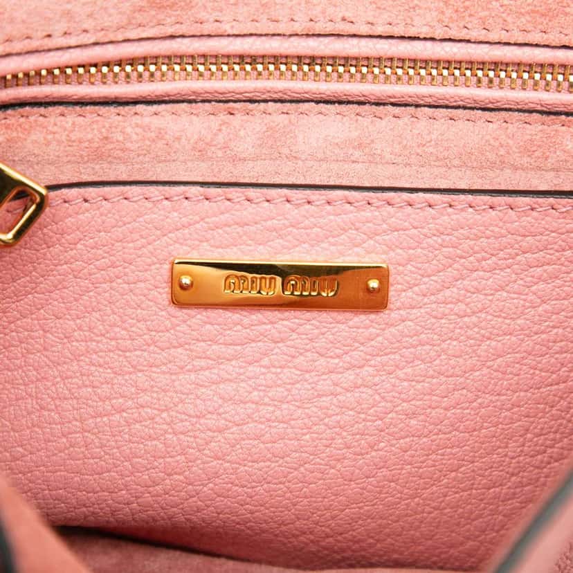 Miu Miu Goatskin Madras Soft Calf Crystal Embellished Crossbody Pink Leather Good condition - Box View