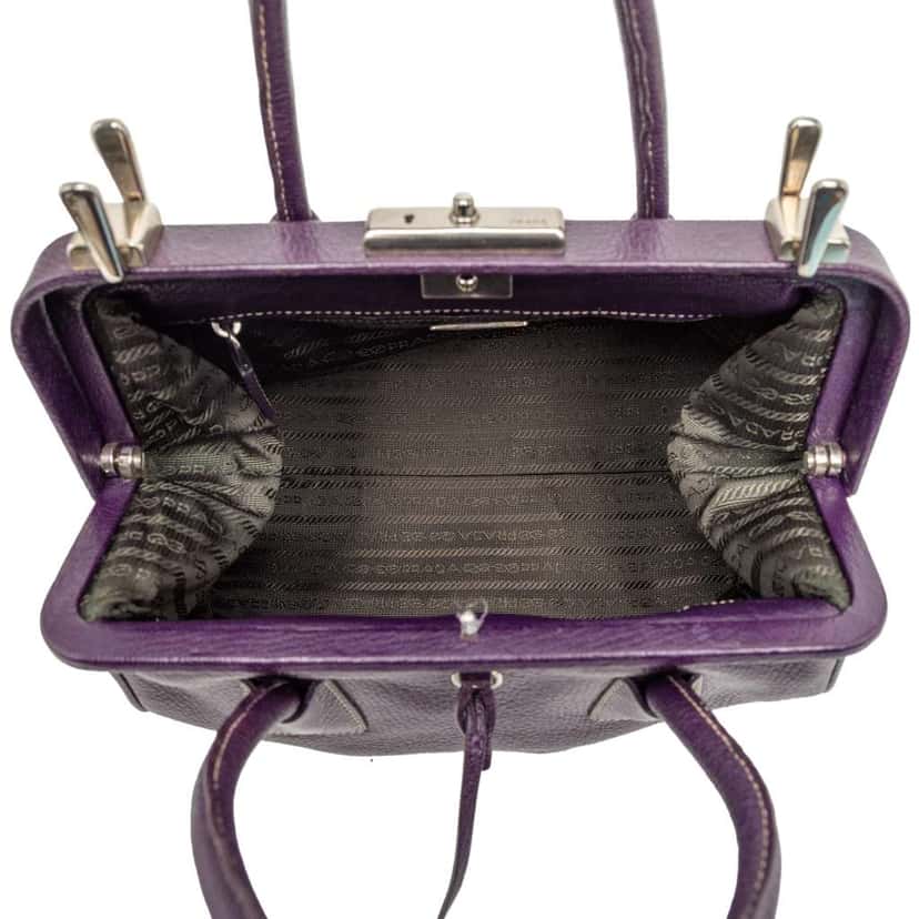 Prada Goatskin Madras Cerniera Frame Doctor Bag Purple Leather Good condition - Model View