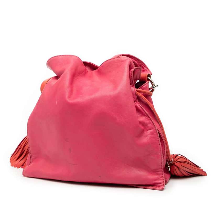 Loewe Bicolor Nappa Flamenco Tassel 30 Crossbody Pink Leather Good condition - Back View