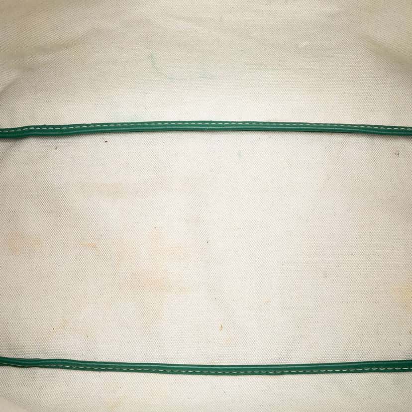 Goyard Goyardine Saint Louis PM Green Canvas Good condition - Model View