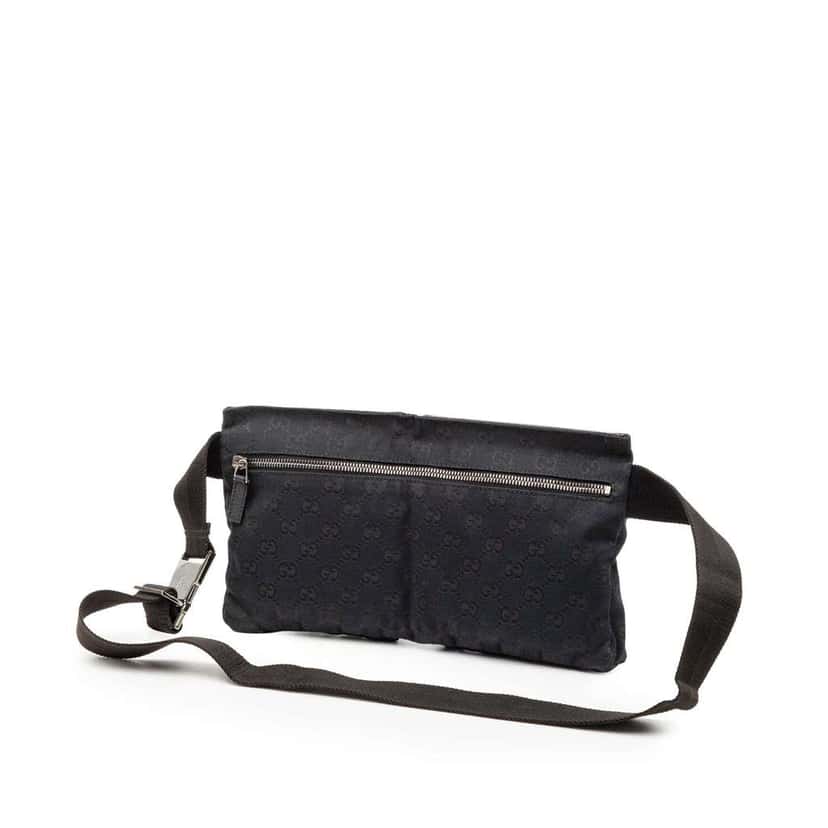 Gucci GG Canvas Double Pocket Belt Bag Blue Canvas Very good condition - Back View