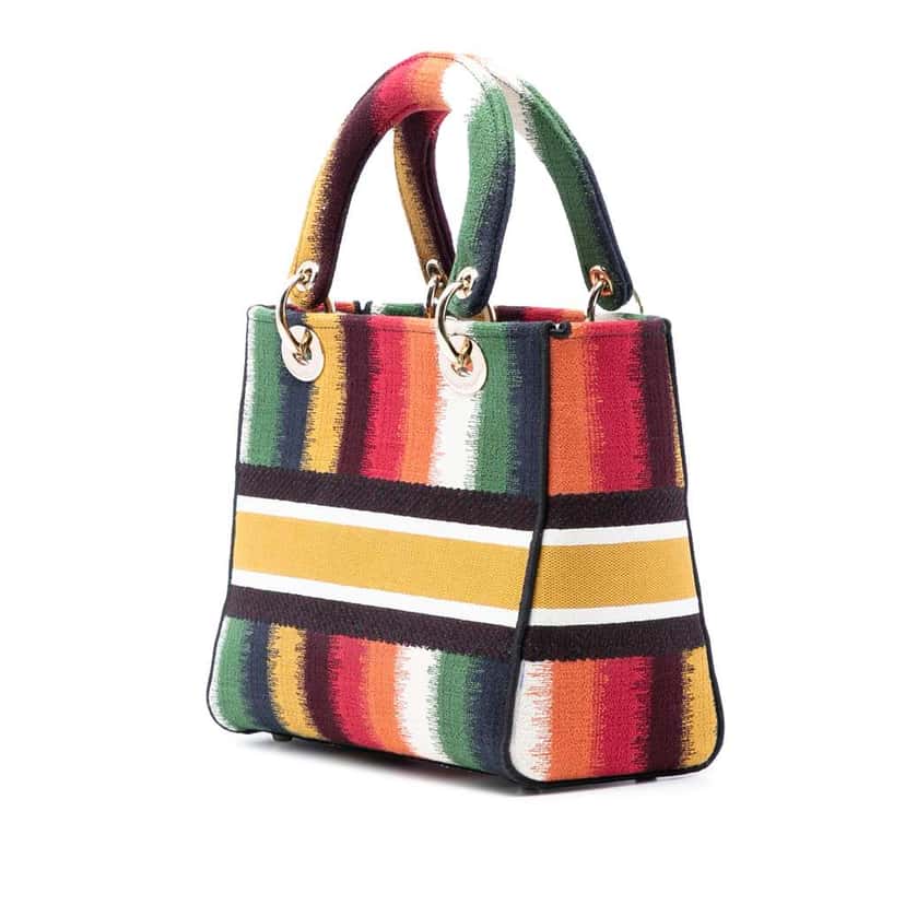 Dior Medium Embroidered Multicolor Canvas Striped Lady D Lite MultiColor Canvas Very good condition - Back View