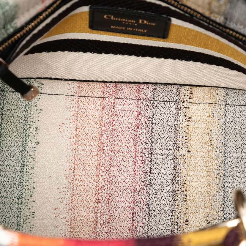 Dior Medium Embroidered Multicolor Canvas Striped Lady D Lite MultiColor Canvas Very good condition - Model View