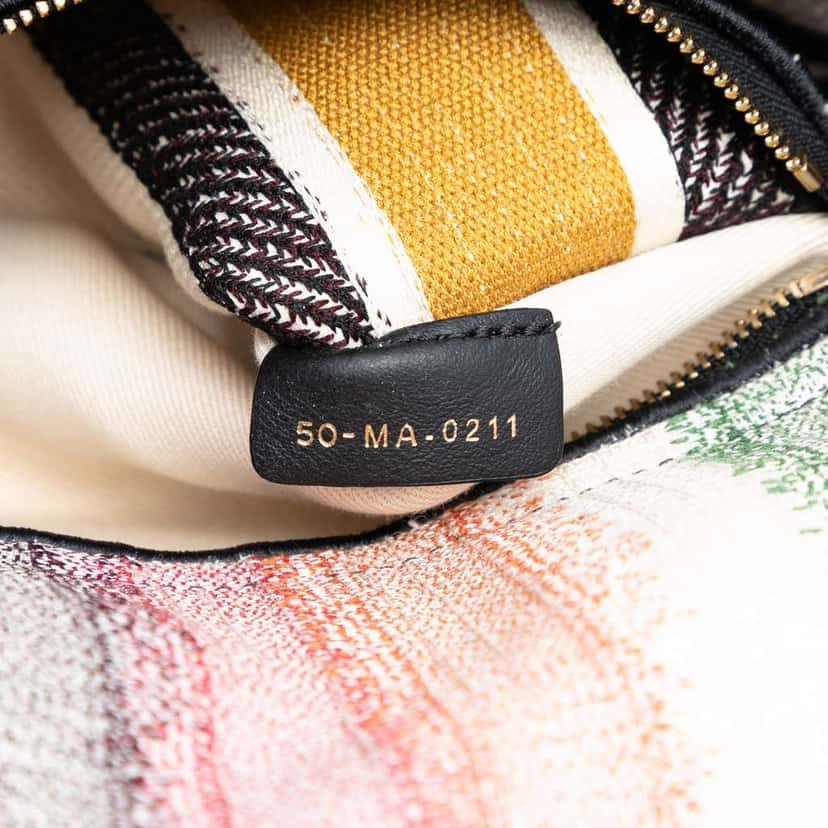 Dior Medium Embroidered Multicolor Canvas Striped Lady D Lite MultiColor Canvas Very good condition - Box View