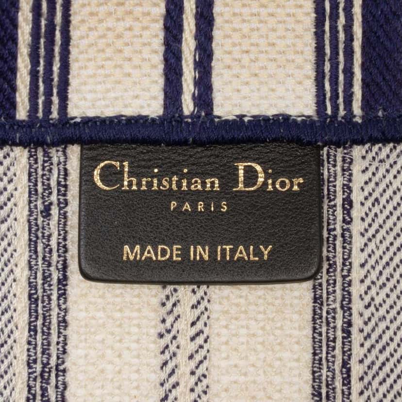Dior Large Canvas Striped Book Tote Blue Canvas Good condition - Box View