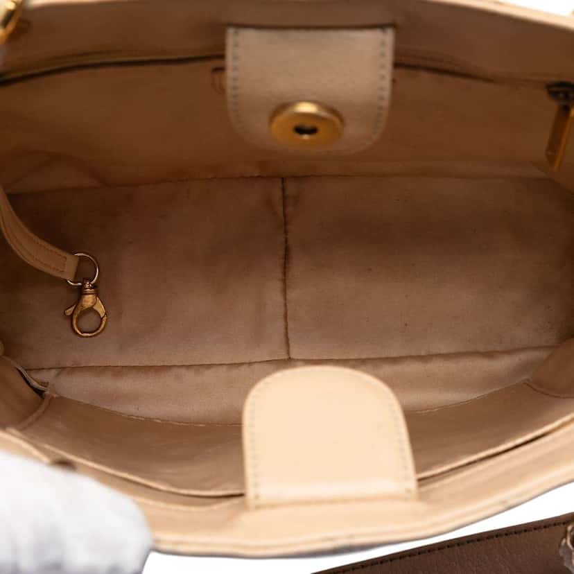 Chanel Caviar Petite Shopping Tote Brown Leather Very good condition - Model View