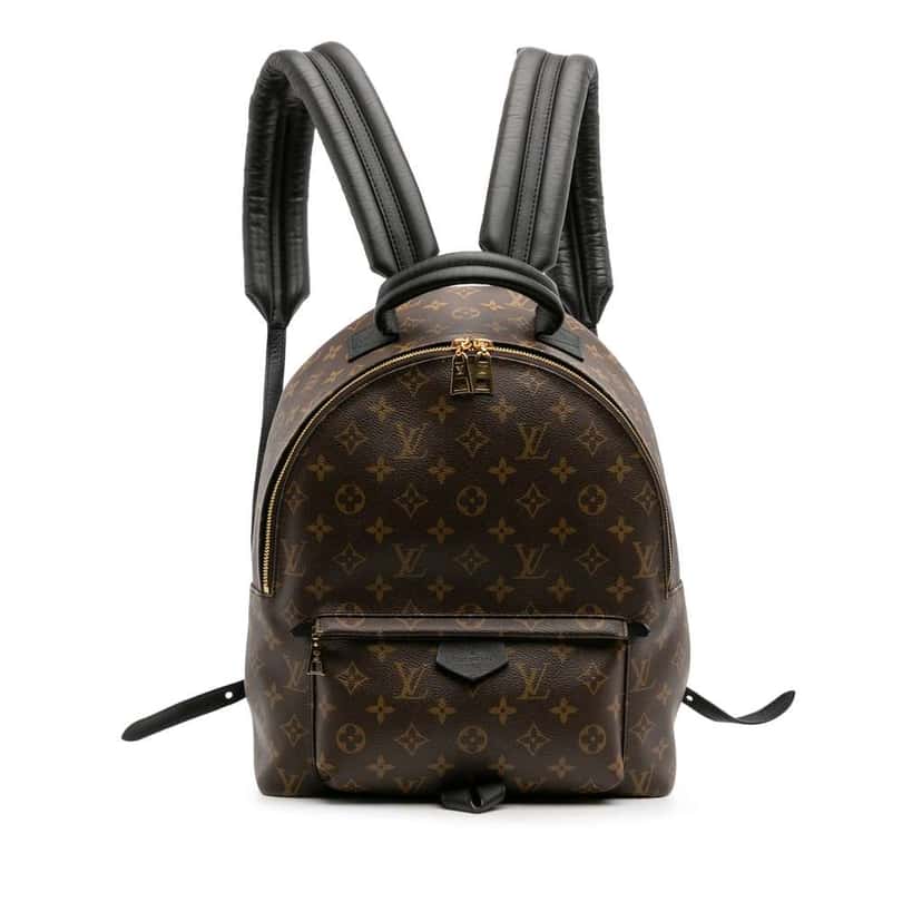 Louis Vuitton Monogram Palm Springs MM Brown Good condition - Front View
