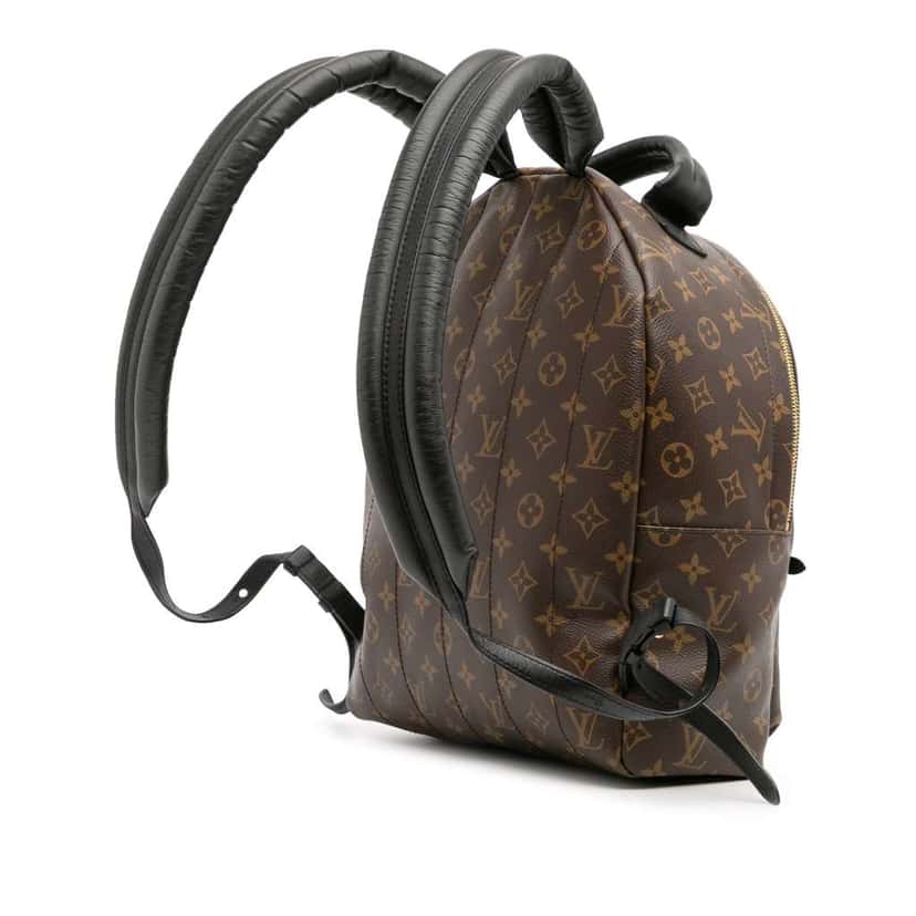 Louis Vuitton Monogram Palm Springs MM Brown Good condition - Back View