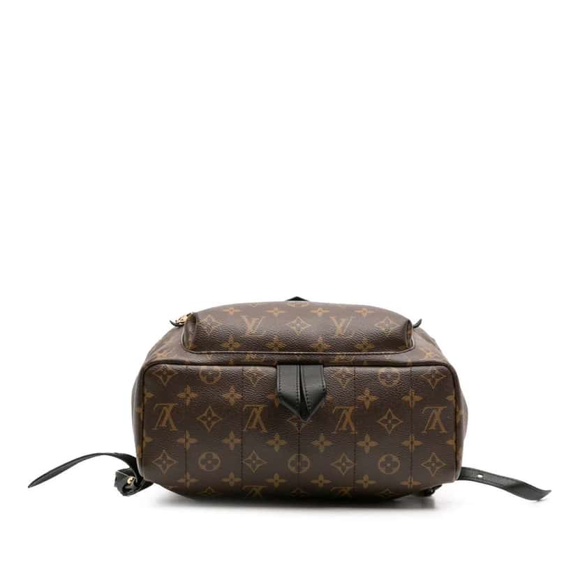 Louis Vuitton Monogram Palm Springs MM Brown Good condition - Inside View