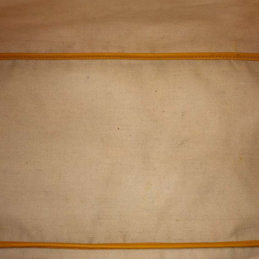 Goyard Goyardine Saint Louis GM Yellow Canvas Very good condition - Model View