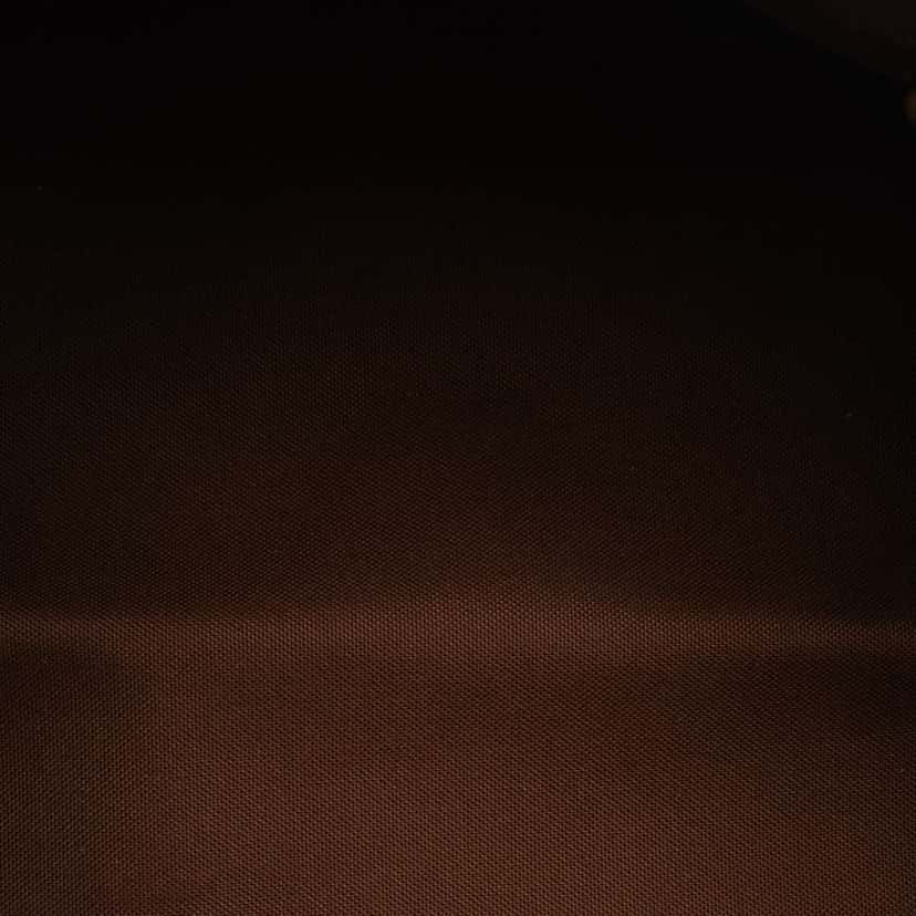 Louis Vuitton Monogram Speedy 30 Brown Very good condition - Model View