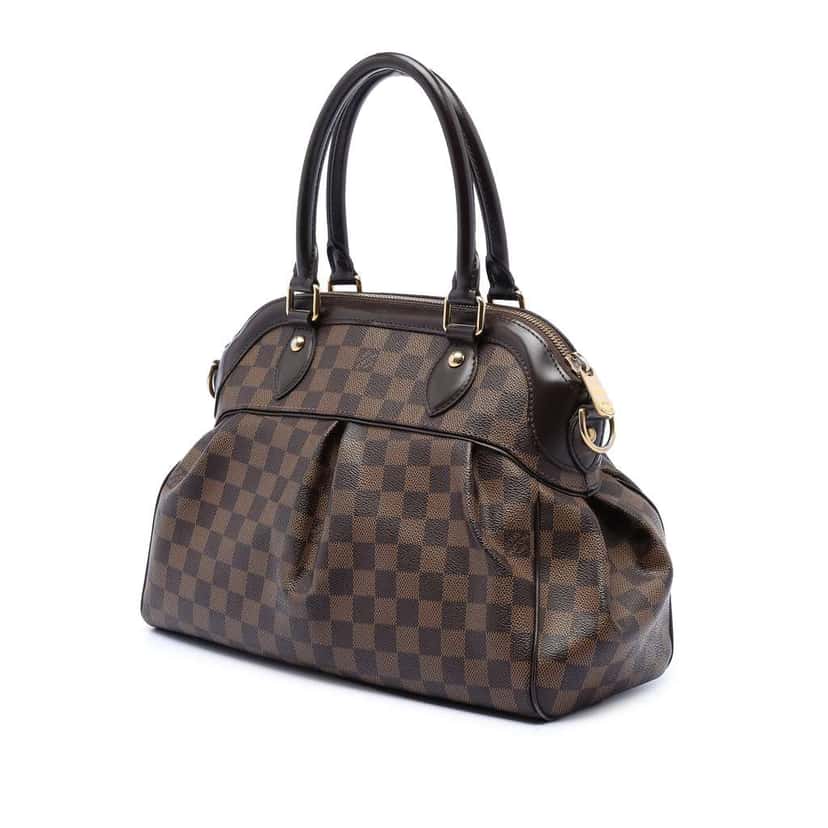 Louis Vuitton Damier Ebene Trevi PM Brown Very good condition - Back View