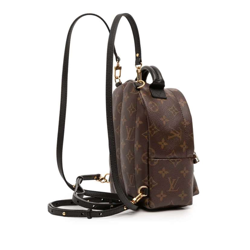 Louis Vuitton Monogram Mini Palm Springs Brown Good condition - Back View