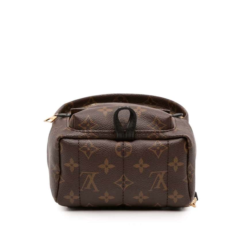 Louis Vuitton Monogram Mini Palm Springs Brown Good condition - Inside View