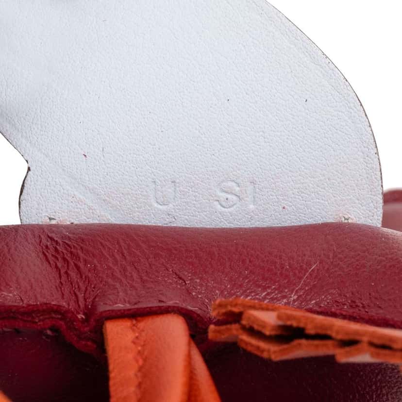 Hermès Milo Lambskin and Swift Grigri Rodeo Pegase Bag Charm PM Red Leather Good condition - Model View