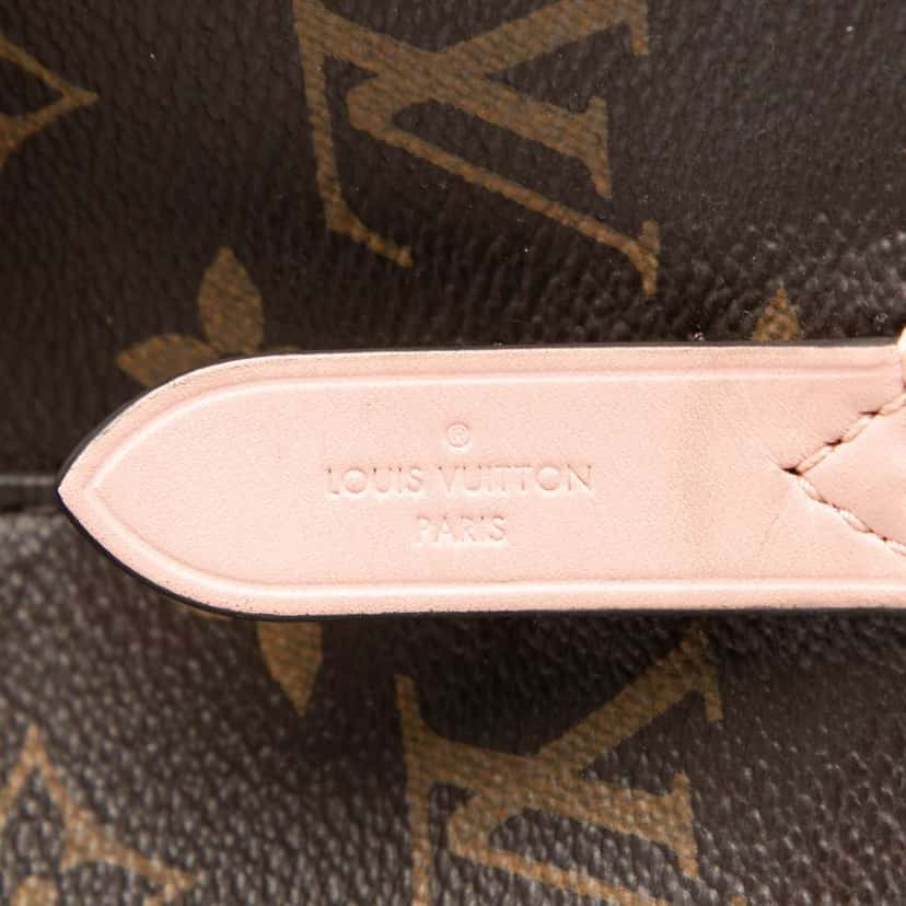 Louis Vuitton Monogram Neonoe MM Brown Good condition - Box View