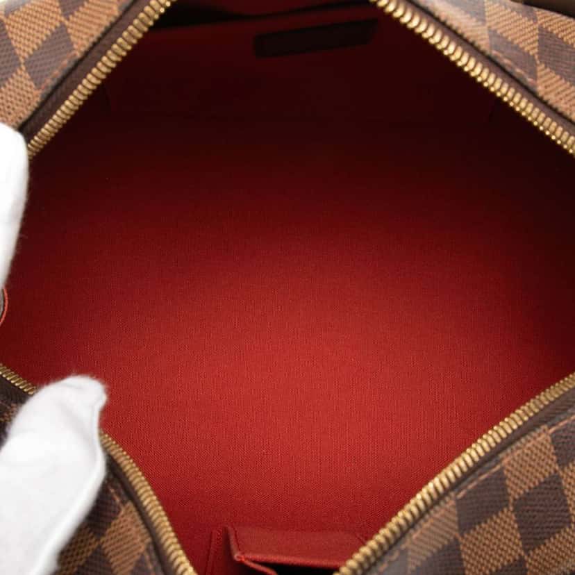 Louis Vuitton Damier Ebene Ribera MM Brown Good condition - Model View
