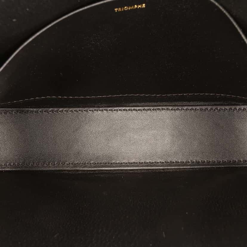 Celine Shiny Calfskin Triomphe Claude Shoulder Bag Black Leather Good condition - Model View