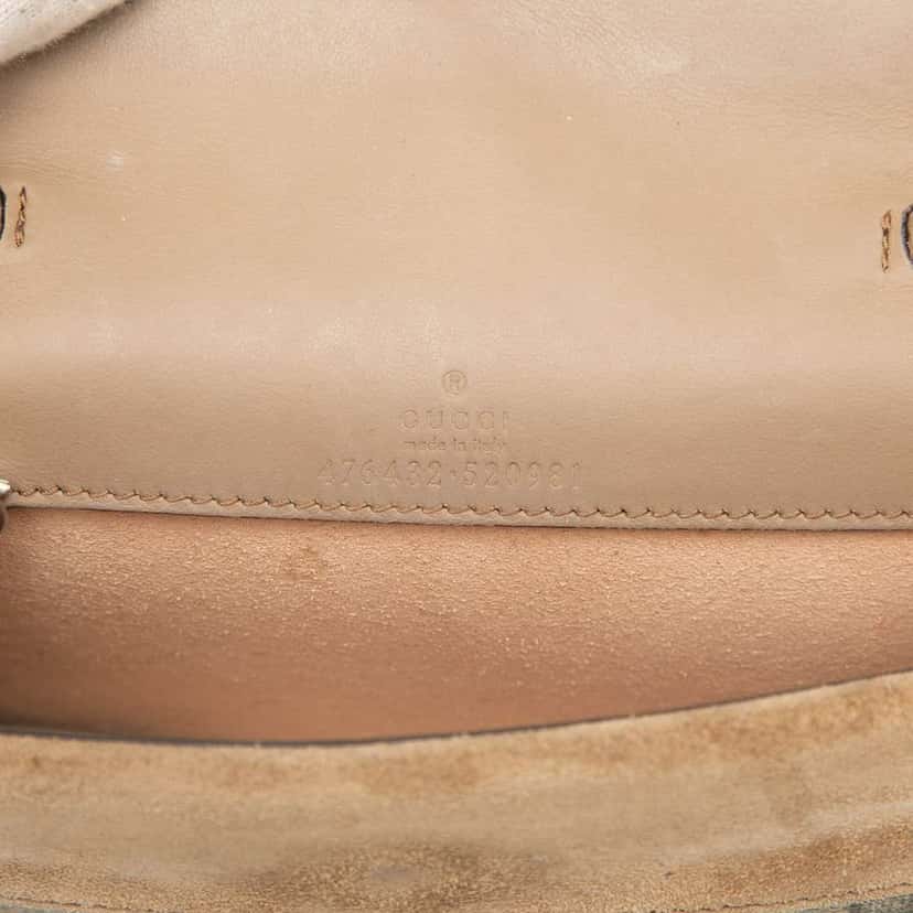 Gucci Mini GG Supreme Dionysus Crossbody Brown Canvas Very good condition - Box View