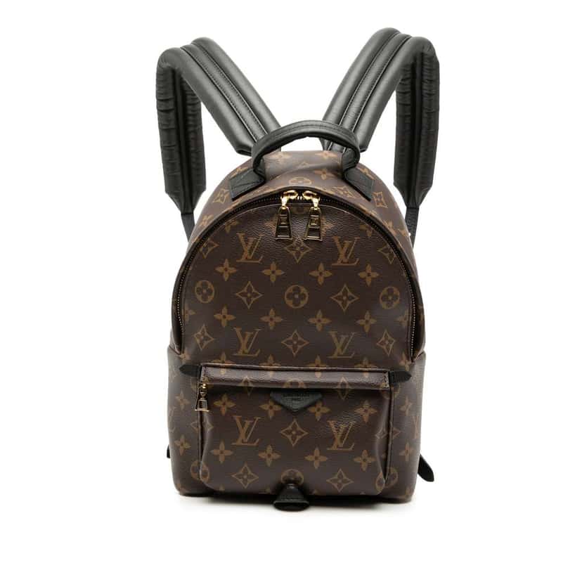 Louis Vuitton Monogram Palm Springs PM Brown Very good condition - Front View