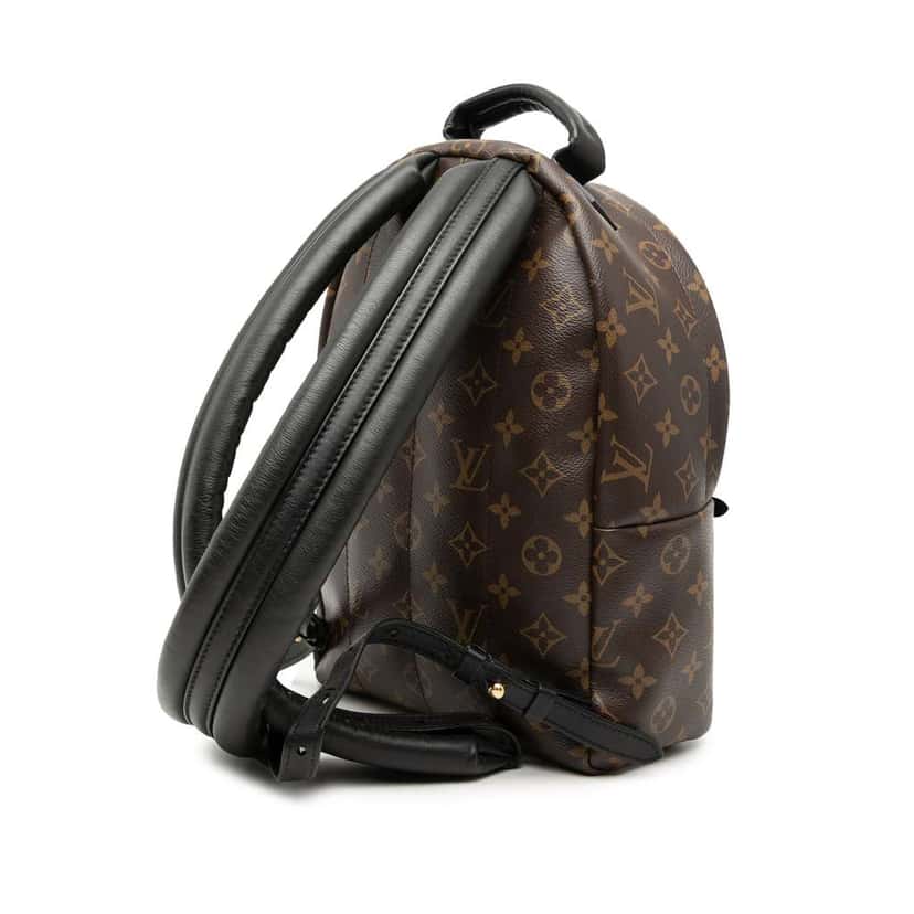 Louis Vuitton Monogram Palm Springs PM Brown Very good condition - Back View