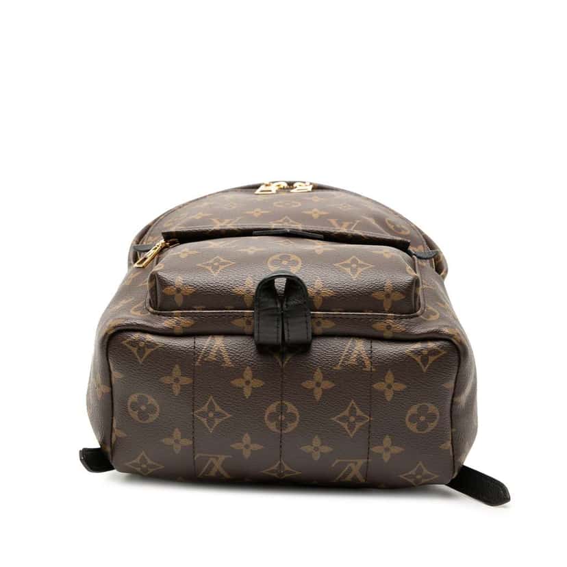 Louis Vuitton Monogram Palm Springs PM Brown Very good condition - Inside View