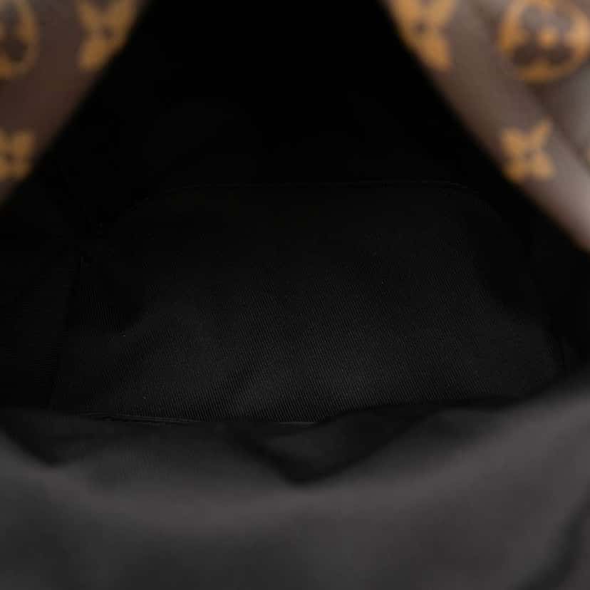 Louis Vuitton Monogram Palm Springs PM Brown Very good condition - Model View