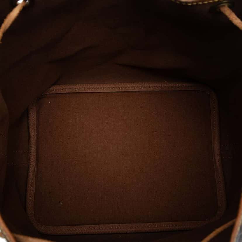 Louis Vuitton Monogram Petit Noe Brown Good condition - Model View