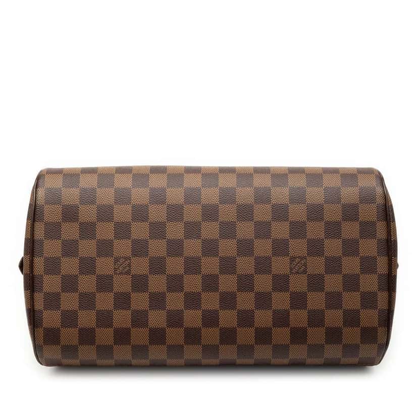 Louis Vuitton Damier Ebene Ribera MM Brown Very good condition - Inside View