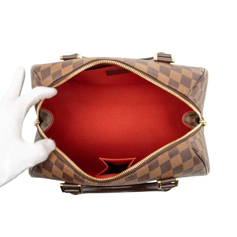 Louis Vuitton Damier Ebene Ribera MM Brown Very good condition - Model View