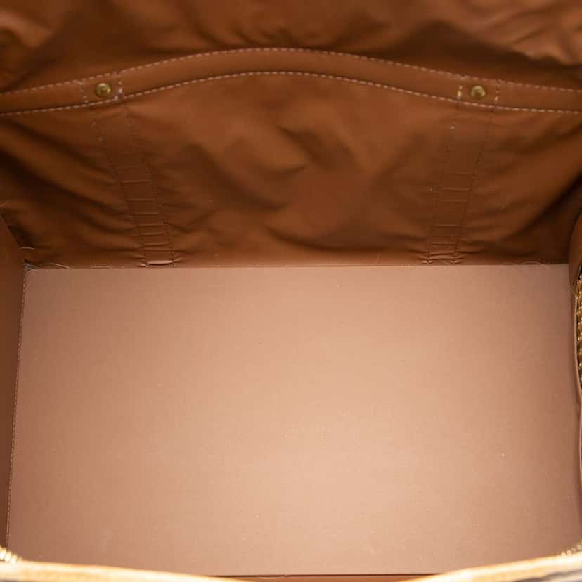 Louis Vuitton Monogram Sac Chien Pet Carrier 40 Brown Very good condition - Model View