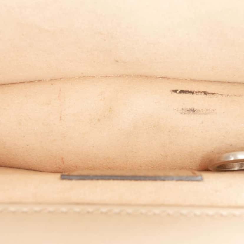 Gucci Mini GG Supreme Dionysus Crossbody Brown Canvas Very good condition - Model View