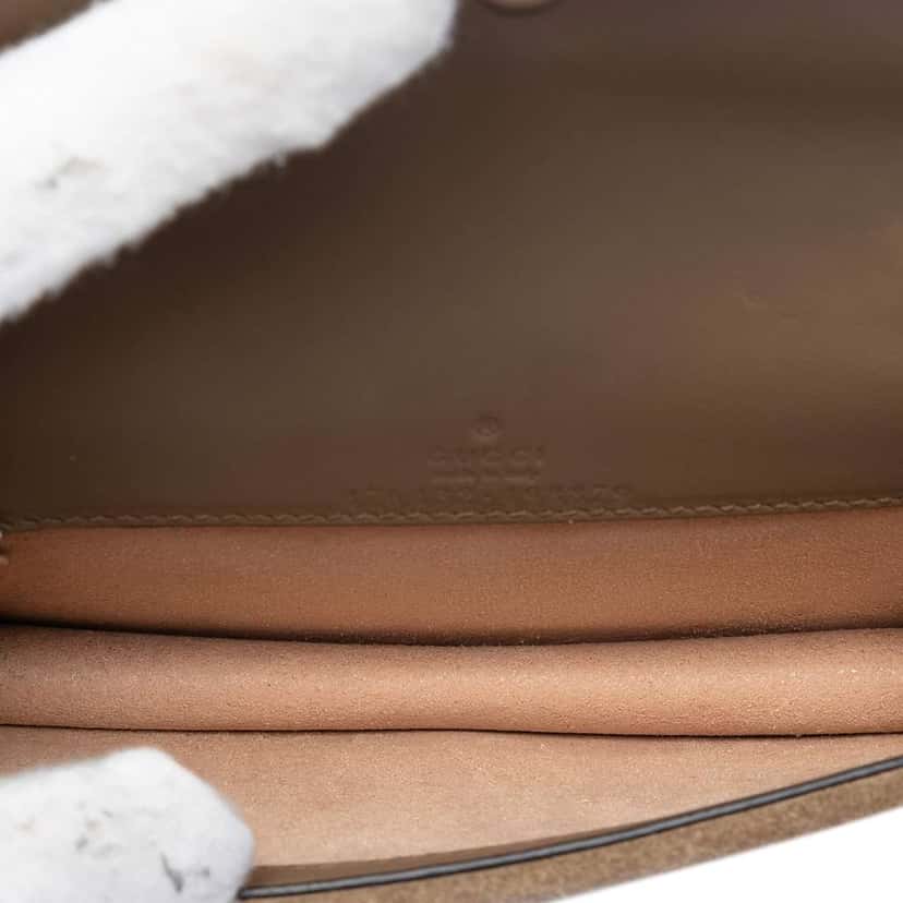 Gucci Mini GG Supreme Dionysus Crossbody Brown Canvas Very good condition - Model View