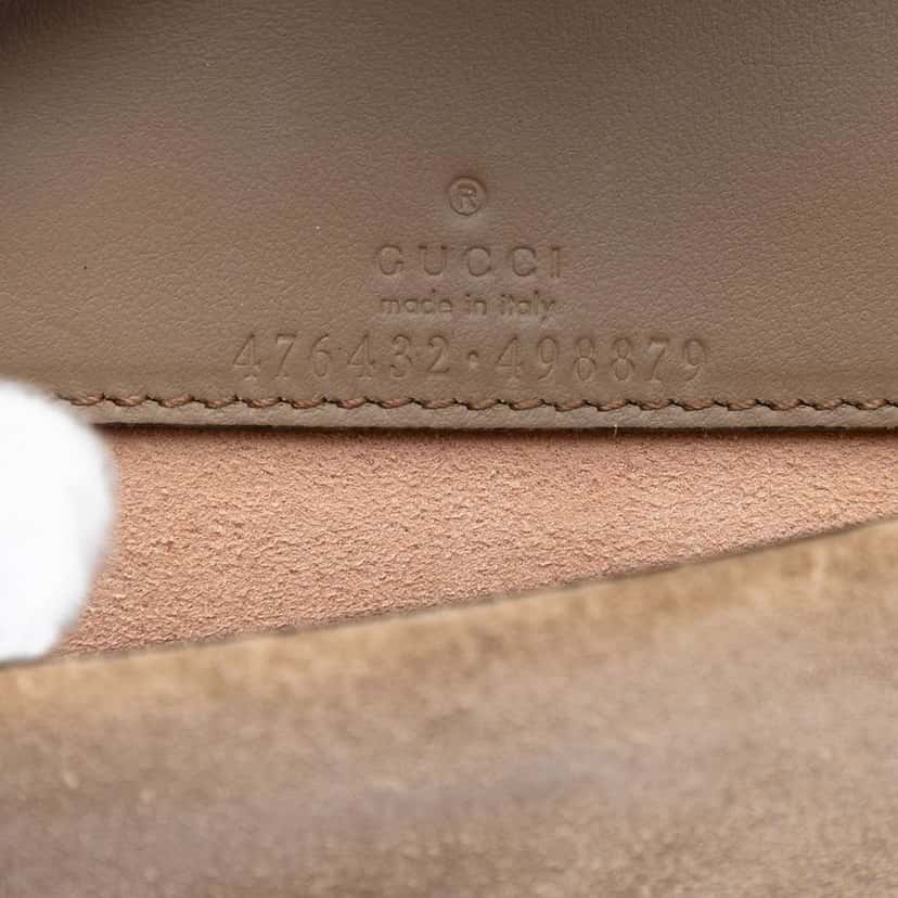 Gucci Mini GG Supreme Dionysus Crossbody Brown Canvas Very good condition - Box View