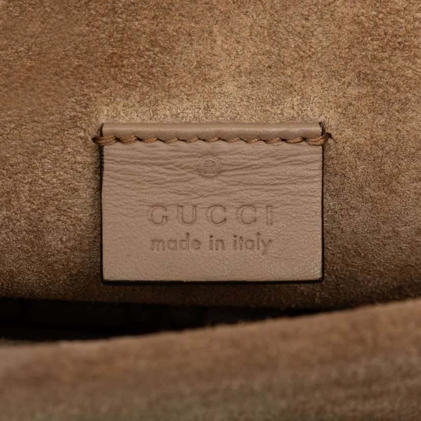 Gucci Small GG Supreme Dionysus Crossbody Brown Canvas Very good condition - Box View