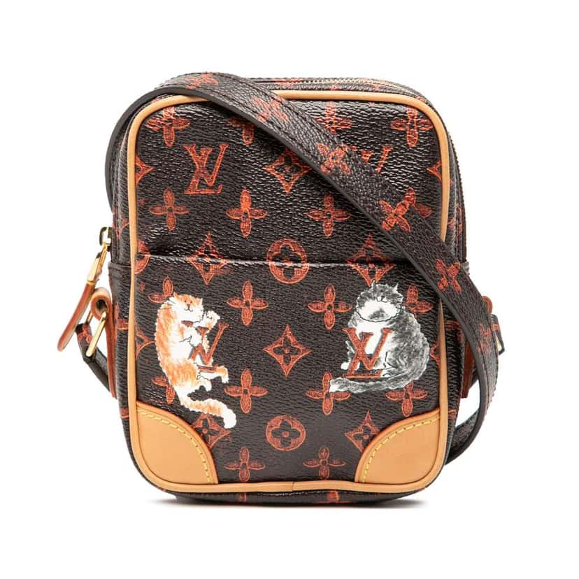 Louis Vuitton Grace Coddington Catogram Paname PM Brown Very good condition - Front View