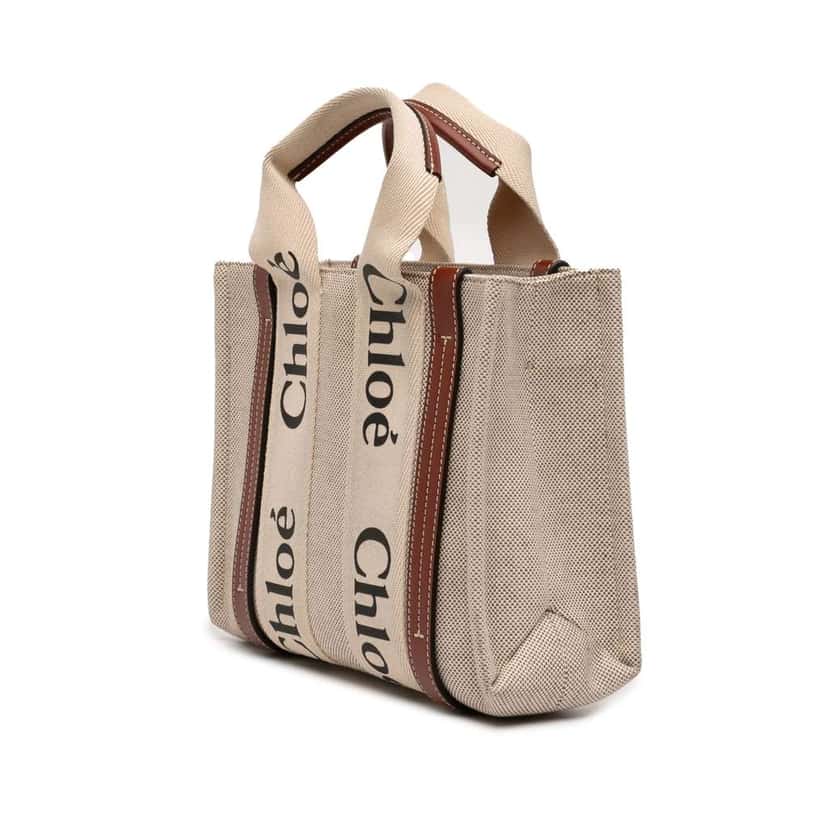 Chloé Small Canvas Woody Satchel Brown Canvas Good condition - Back View