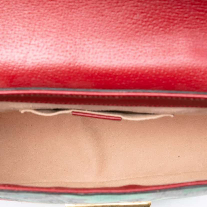 Gucci GG Supreme Web Padlock Tian Paint Crossbody Brown Canvas Very good condition - Model View