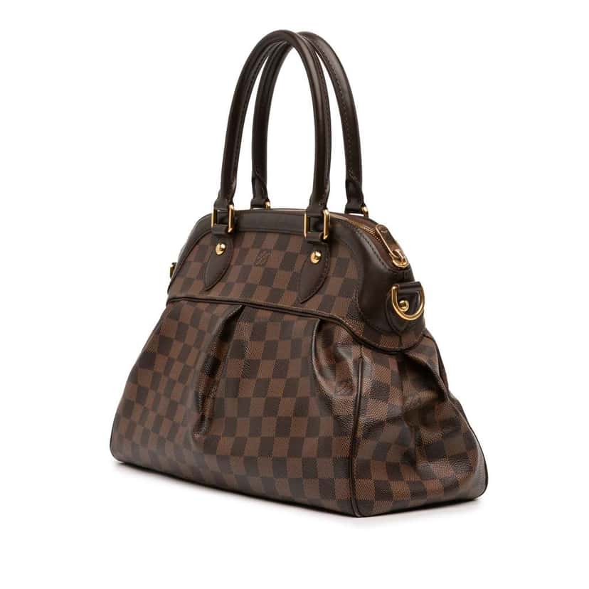 Louis Vuitton Damier Ebene Trevi PM Brown Very good condition - Back View