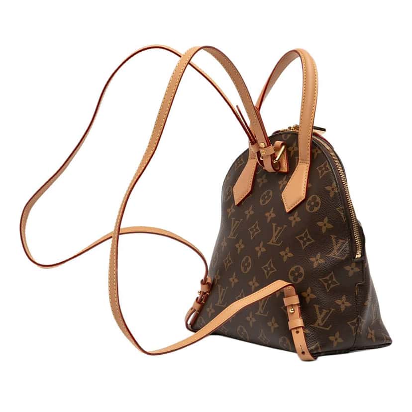 Louis Vuitton Monogram Moon Backpack Brown Very good condition - Back View