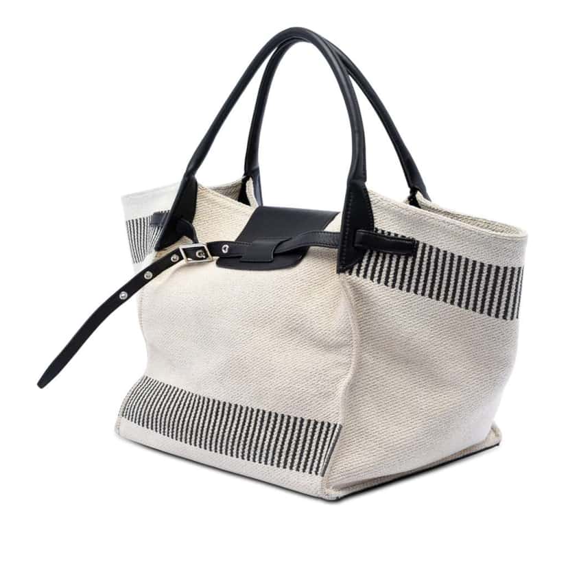Celine Medium Canvas Big Satchel White Canvas Very good condition - Back View