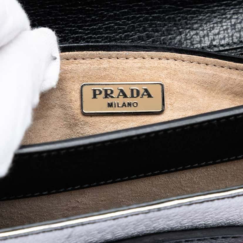 Prada Tricolor Metallic Cinghiale Crossbody Silver Leather Good condition - Box View