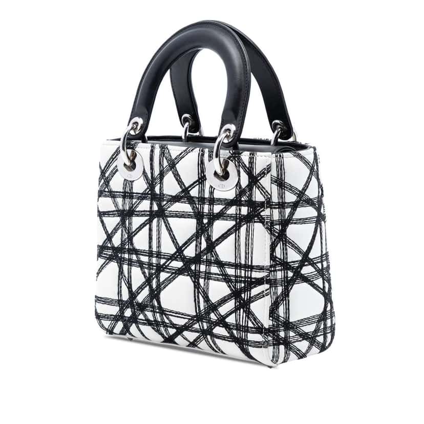 Dior Limited Edition Daniel Gordon Art Small Lambskin Cannage Lady Dior White Leather Very good condition - Back View