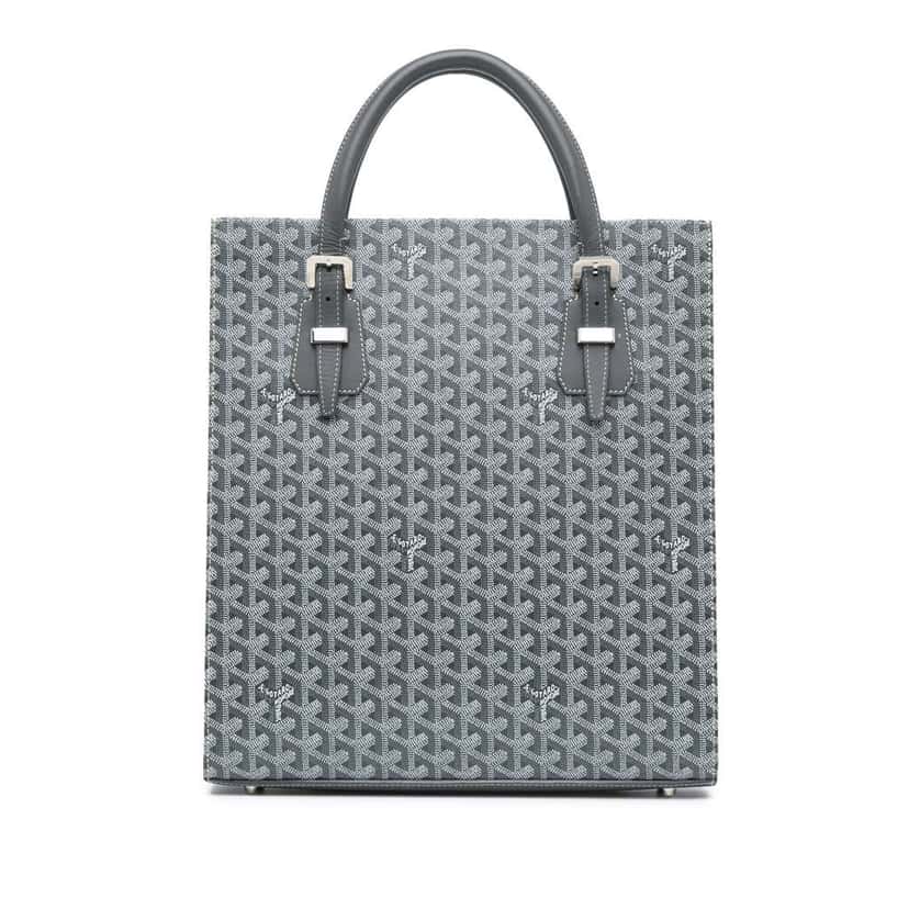 Goyard Goyardine Comores GM Grey Canvas Good condition - Front View